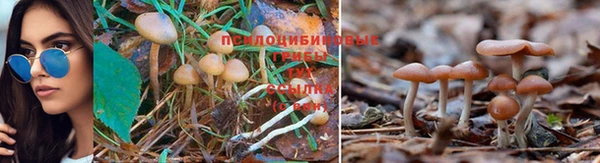 бошки Михайловск