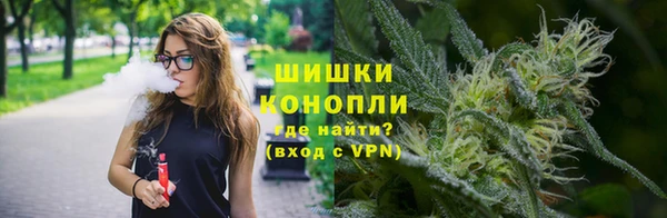 спайс Михайлов