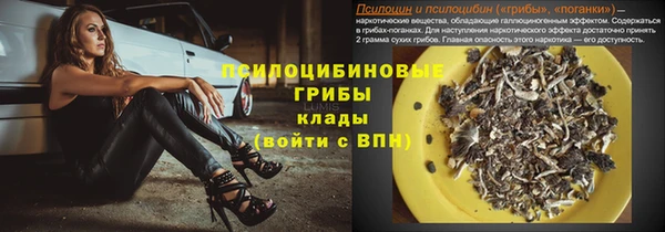 прущие крисы Михайловка