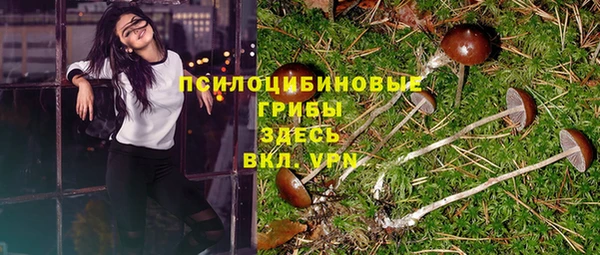 бошки Михайловск