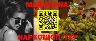 спиды Бийск