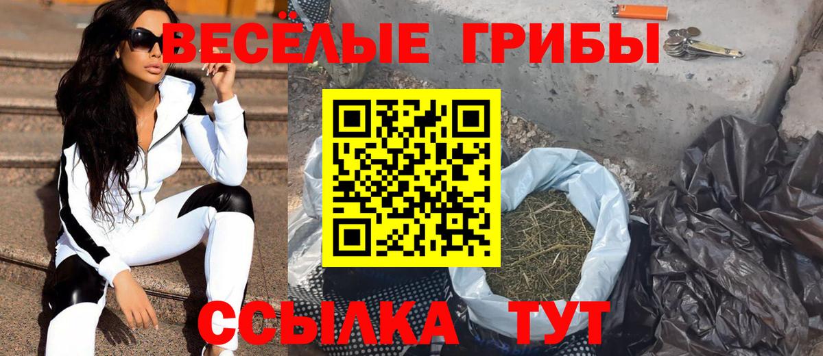 Псилоцибиновые грибы Cubensis  Железногорск 