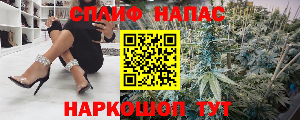  COCAIN Железногорск